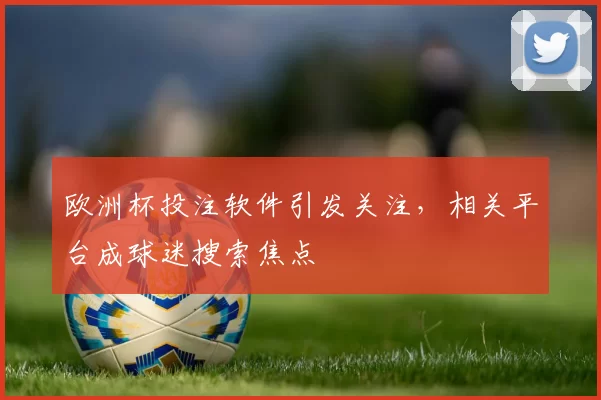 欧洲杯投注软件引发关注,相关平台成球迷搜索焦点