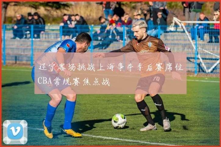 辽宁客场挑战上海争夺季后赛席位CBA常规赛焦点战