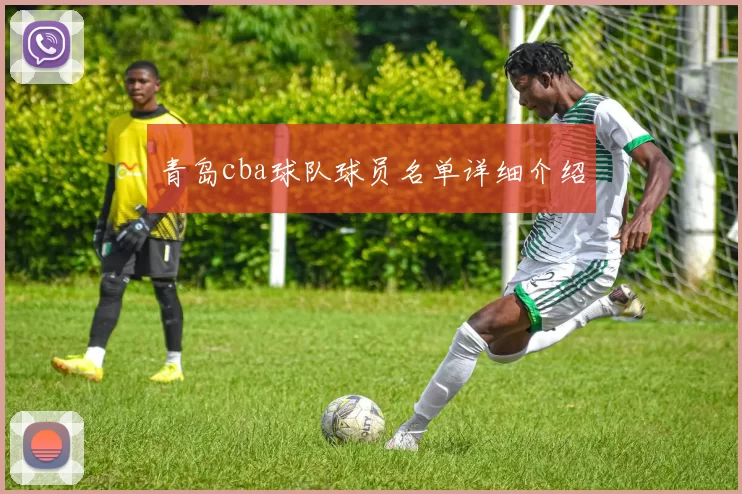 青岛cba球队球员名单详细介绍