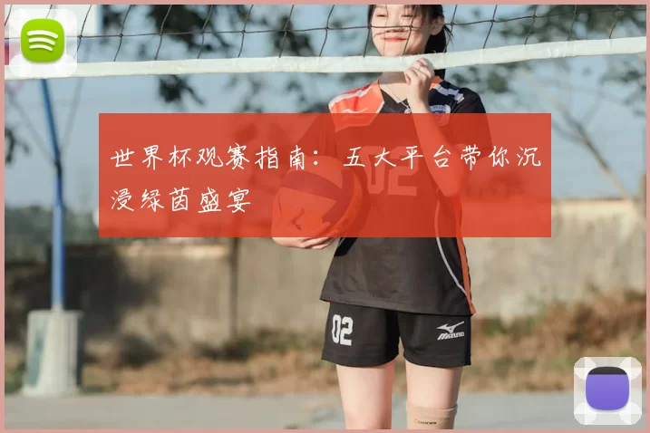 世界杯观赛指南:五大平台带你沉浸绿茵盛宴
