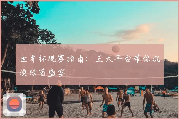 世界杯观赛指南:五大平台带你沉浸绿茵盛宴