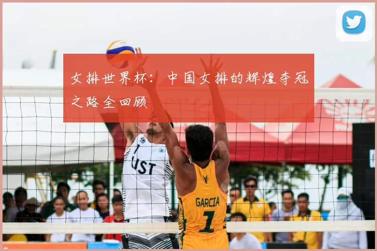 女排世界杯：中国女排的辉煌夺冠之路全回顾