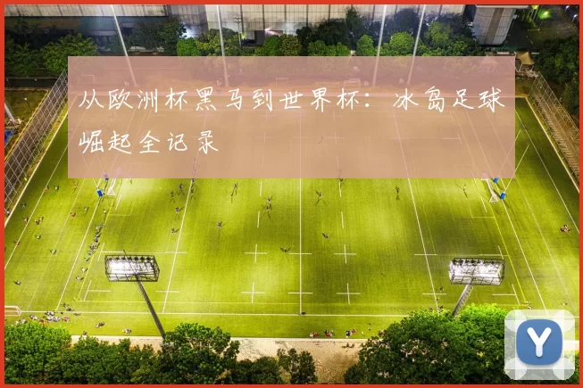 从欧洲杯黑马到世界杯:冰岛足球崛起全记录