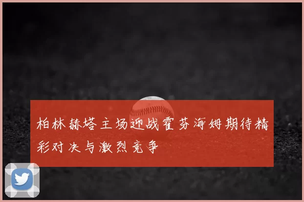 柏林赫塔主场迎战霍芬海姆期待精彩对决与激烈竞争