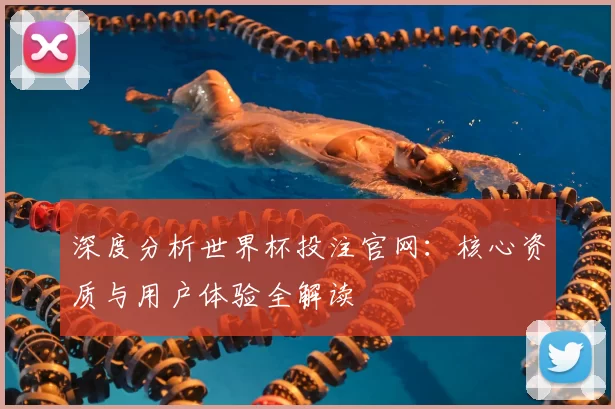 深度分析世界杯投注官网:核心资质与用户体验全解读
