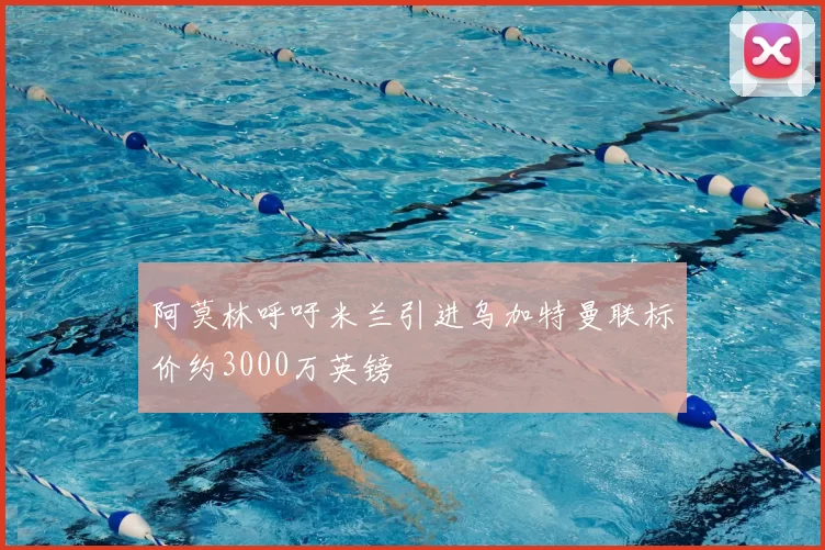 阿莫林呼吁米兰引进乌加特曼联标价约3000万英镑