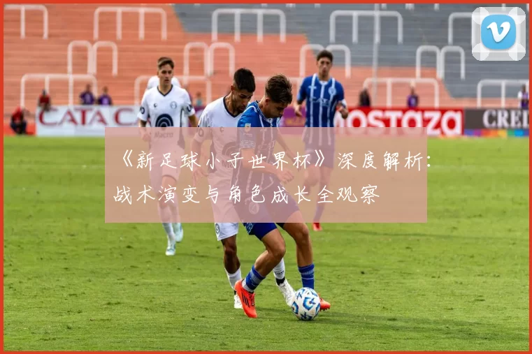 《新足球小子世界杯》深度解析:战术演变与角色成长全观察