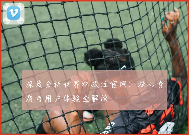 深度分析世界杯投注官网：核心资质与用户体验全解读
