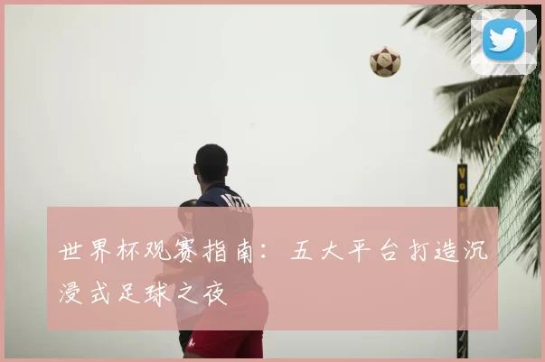 世界杯观赛指南:五大平台打造沉浸式足球之夜